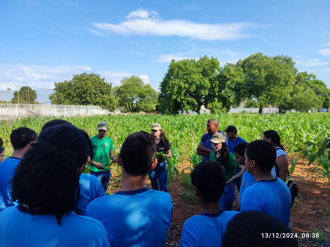 Projeto Germinar organiza colheita de milho plantado em área da ETI Eurídice Ferreira de Melo