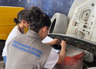 Novas armadilhas para capturar ovos do mosquito da dengue são instaladas pela Prefeitura de Palmas