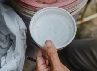 População deve manter cuidados com limpeza de imóveis para eliminação dos focos do Aedes aegypti