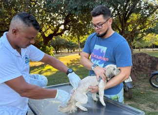 Setor Santa Fé II e Taquaruçu terão pontos de vacinação antirrábica