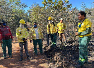 Naturatins conclui treinamento de novos brigadistas com prática de combate a incêndios florestais